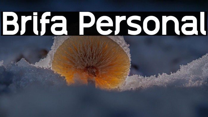 Brifa Personal Example 2