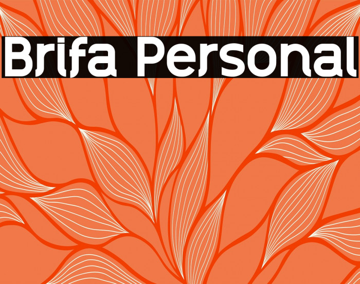 Brifa Personal Example 3