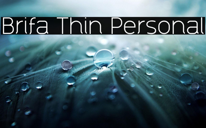 Brifa Thin Personal Example 2