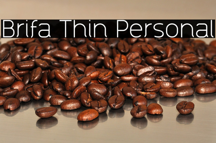 Brifa Thin Personal Example 3