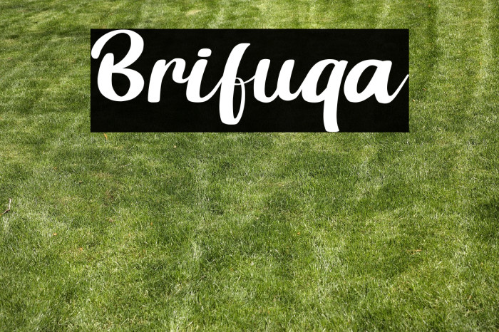 Brifuqa Example 1