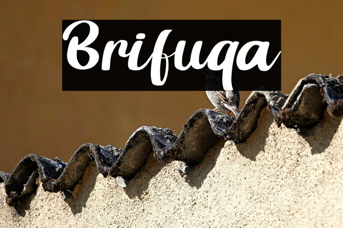 Brifuqa Example 2