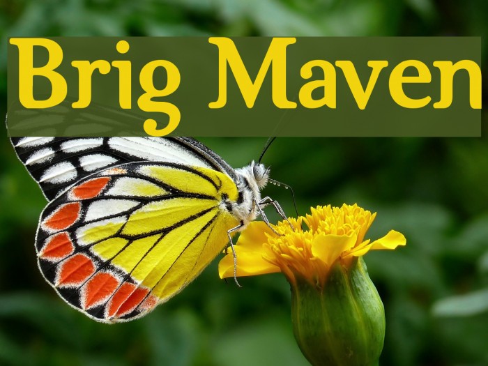 Brig Maven Font examples