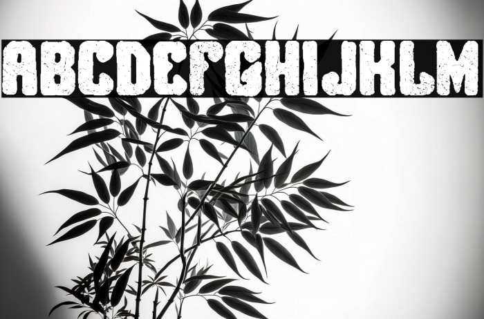 Brigada Salvaje Example 1