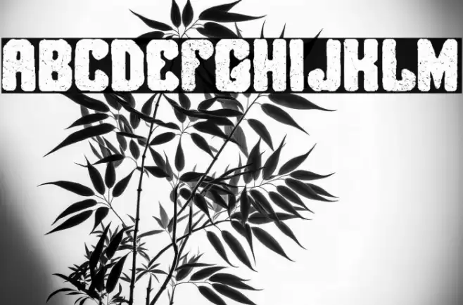 Brigada Salvaje Font examples