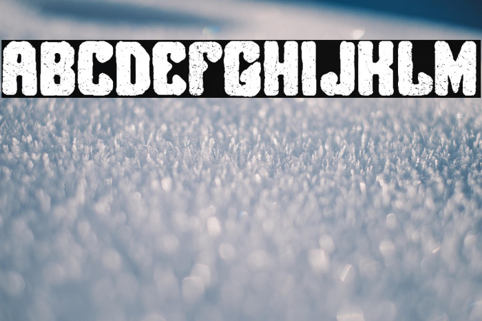 Brigada Salvaje Example 3