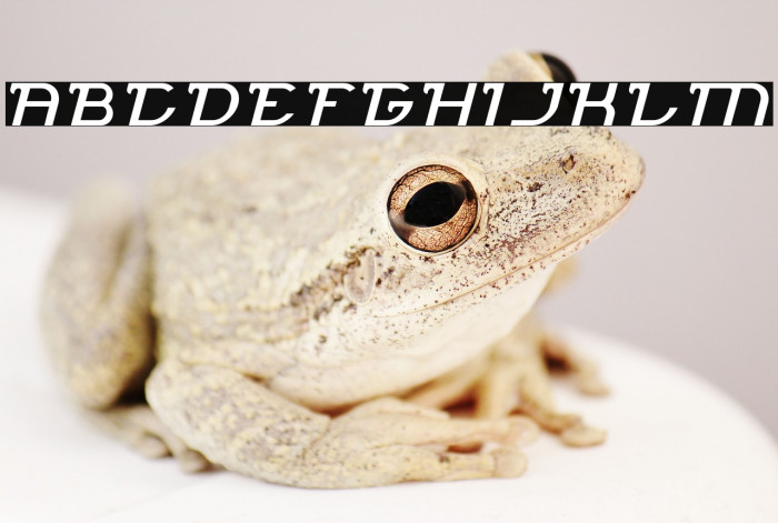 Brigade Army-Light Example 2