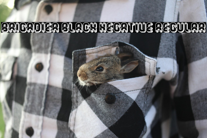 Brigadier Black Negative Regular Example 1