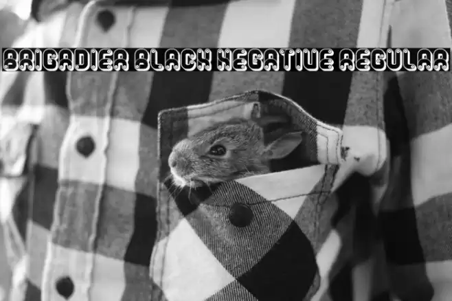 Brigadier Black Negative Regular Caratteri examples