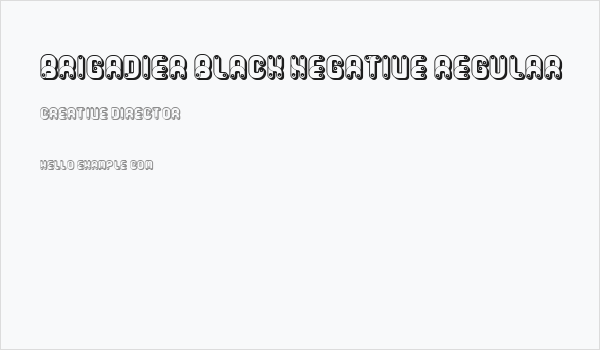 Brigadier Black Negative Regular Business Card