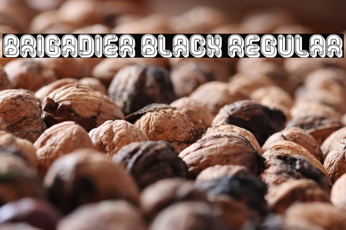 Brigadier Black Regular Example 1
