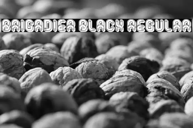 Brigadier Black Regular Font examples
