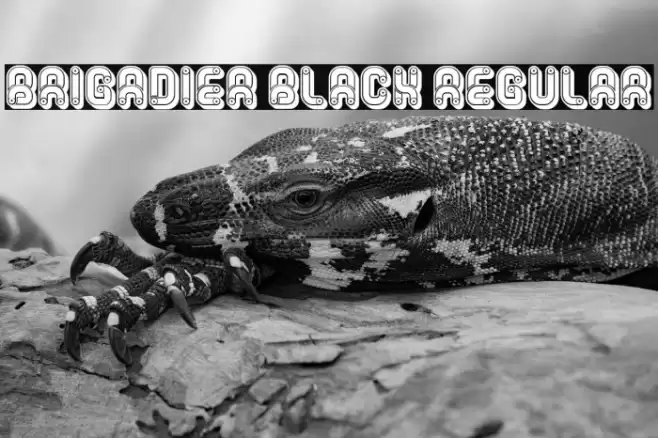 Brigadier Black Regular Font examples