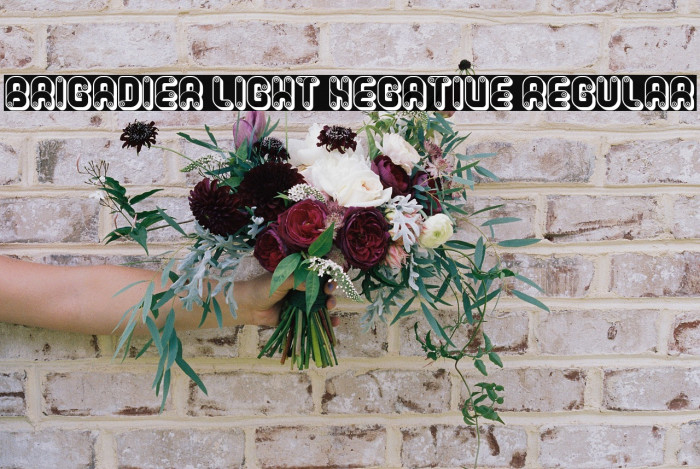 Brigadier Light Negative Regular Example 2