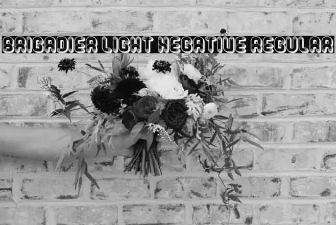 Brigadier Light Negative Regular Fuentes examples