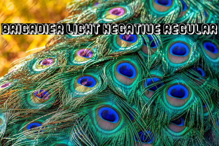 Brigadier Light Negative Regular Example 3