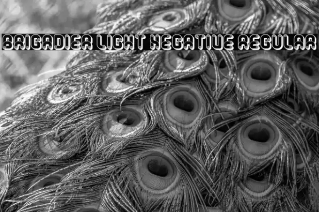 Brigadier Light Negative Regular Fuentes examples