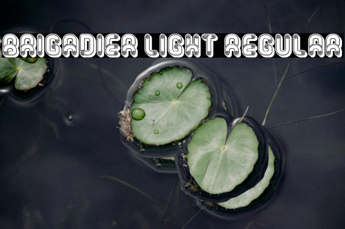 Brigadier Light Regular Example 1