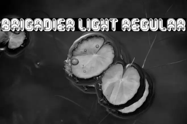 Brigadier Light Regular 字体 examples