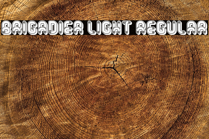 Brigadier Light Regular Example 2