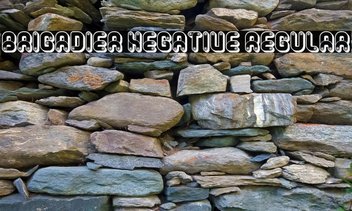 Brigadier Negative Regular Example 1