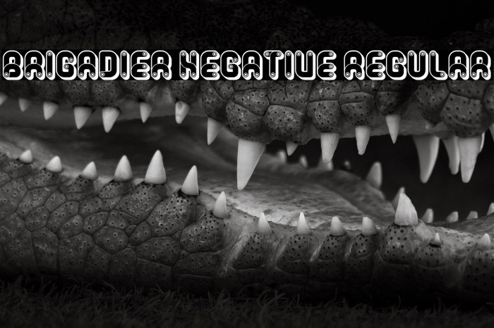 Brigadier Negative Regular Example 3