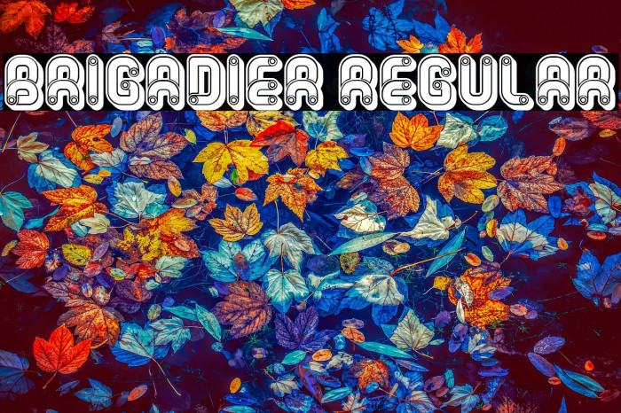 Brigadier Regular Example 1