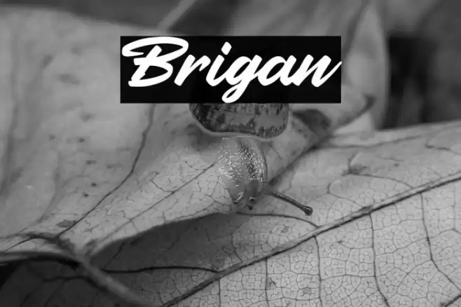 Brigan Font examples