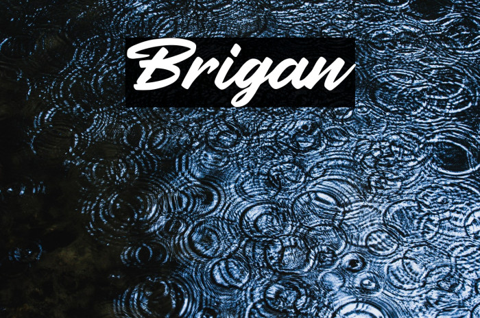 Brigan Example 2