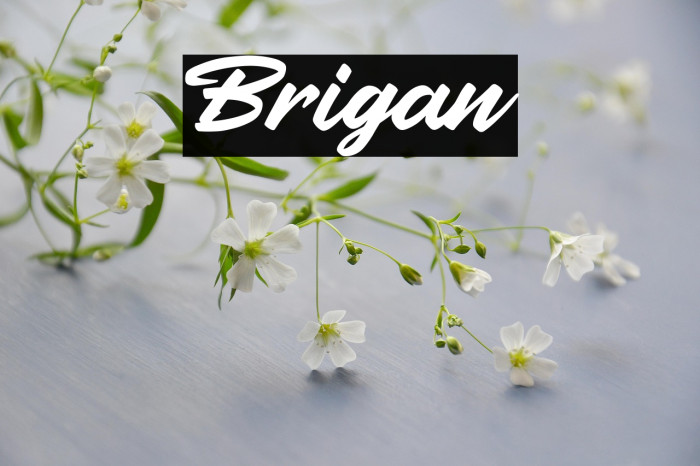 Brigan Example 3