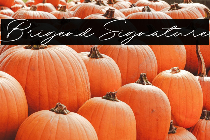 Brigend Signature Example 2