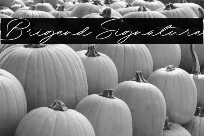 Brigend Signature Caratteri examples