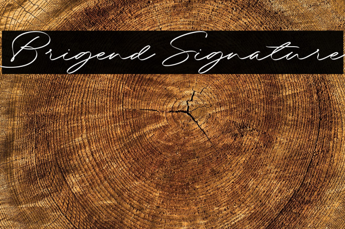 Brigend Signature Example 3