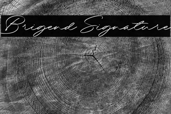 Brigend Signature Caratteri examples