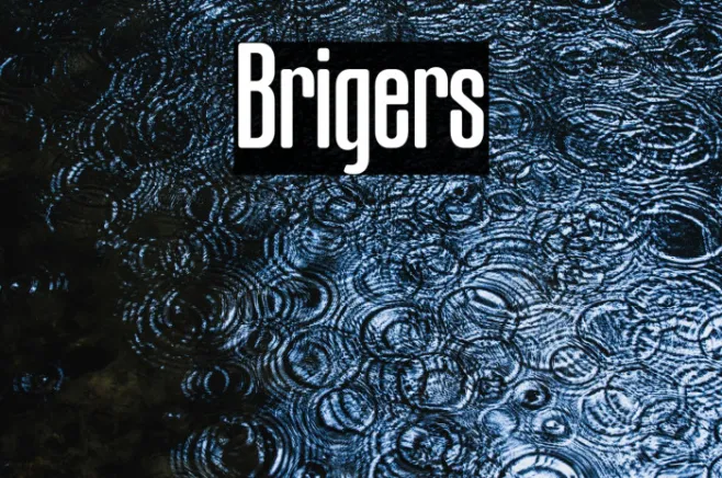 Brigers Example 1