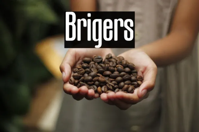 Brigers Example 3