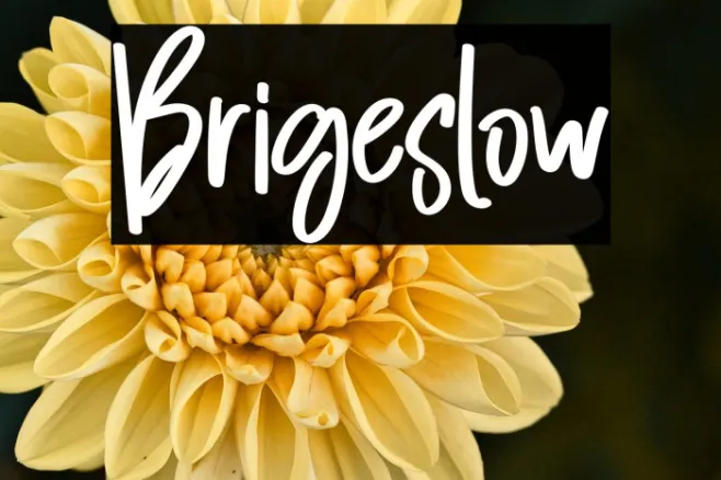 Brigeslow Example 2
