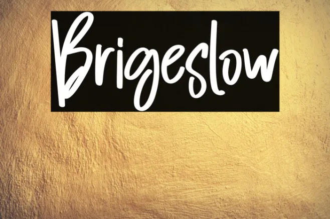 Brigeslow Example 3