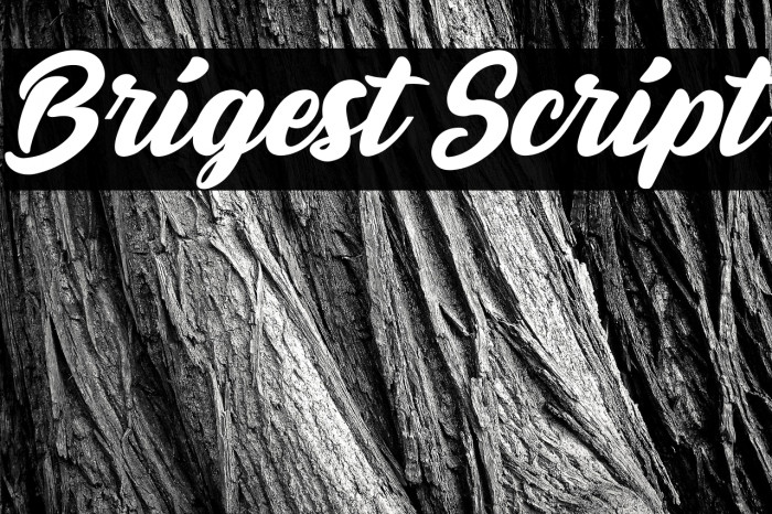 Brigest Script Example 1