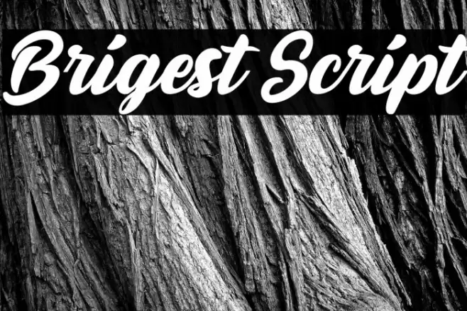 Brigest Script Font examples