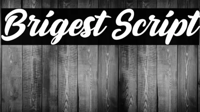 Brigest Script Font examples