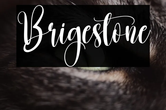 Brigestone Example 1
