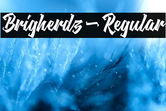 Brigherdz-Regular Example 2