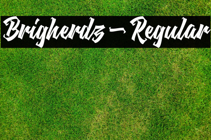 Brigherdz-Regular Example 3