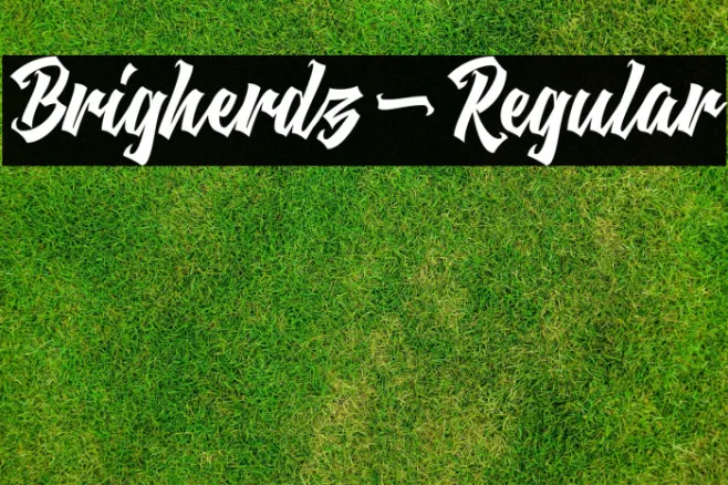 Brigherdz-Regular Example 3