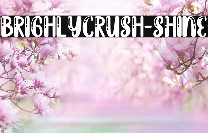 BrighlyCrush-Shine Font examples