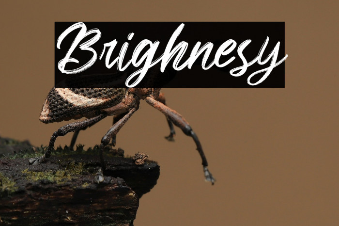 Brighnesy Example 1