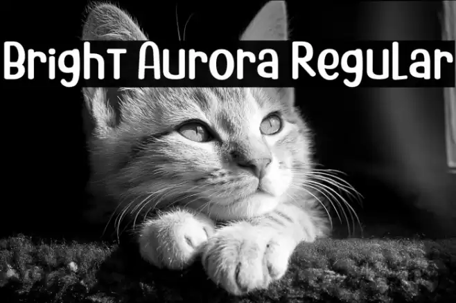 Bright Aurora Regular フォント examples