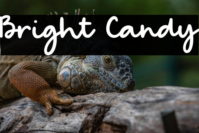 Bright Candy Example 3