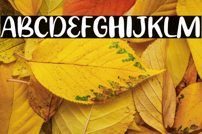 Bright City Example 1